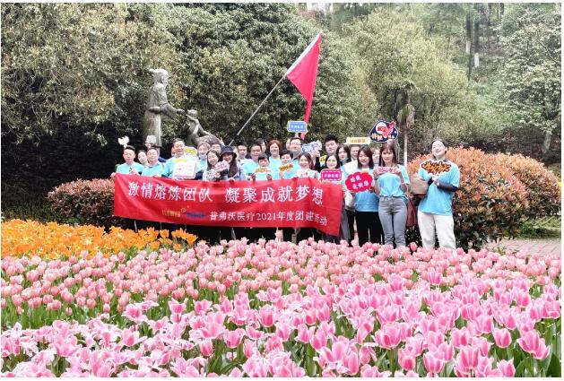 团建,普弗沃,医疗器械